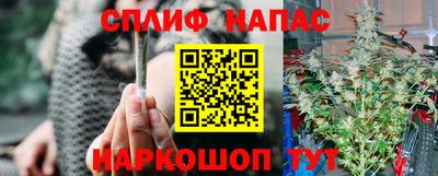 прущие грибы Краснодар