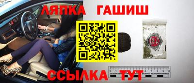прущие грибы Краснодар